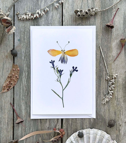 'ELENOR' - Greetings Card