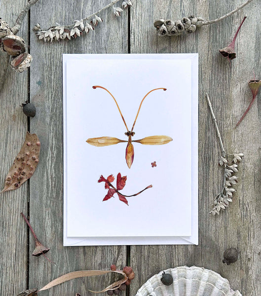 'JULIUS' - Greetings Card