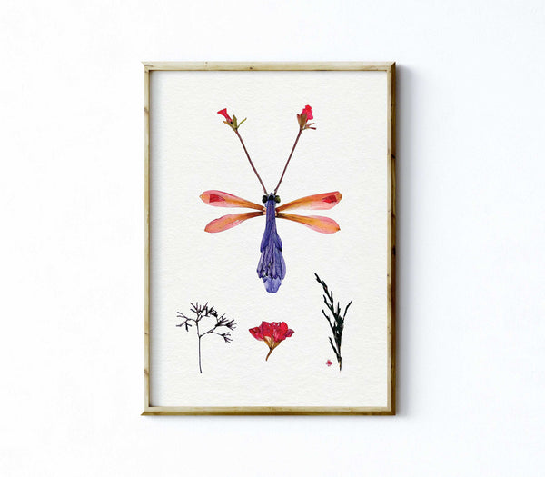 'HALCYON' - Art Print