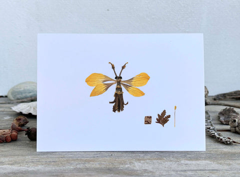 'CLIFFORD' - Greetings Card