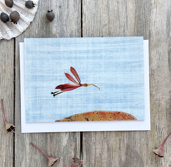 'HERBERT' - Greetings Card