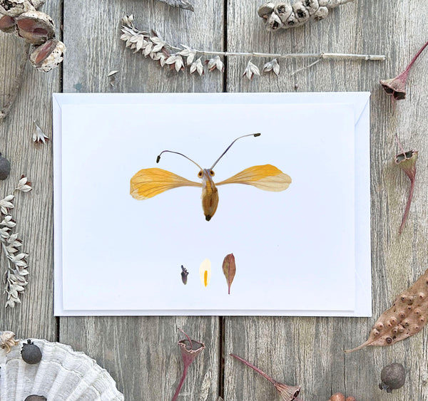 'BEE' - Greetings Card