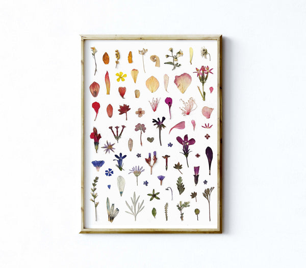 'LITTLE PETALS AND LEAVES' - Art Print
