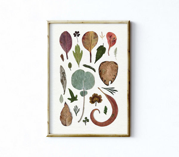 'LOTS OF LEAVES' BOTANICAL COLLATION - Art Print