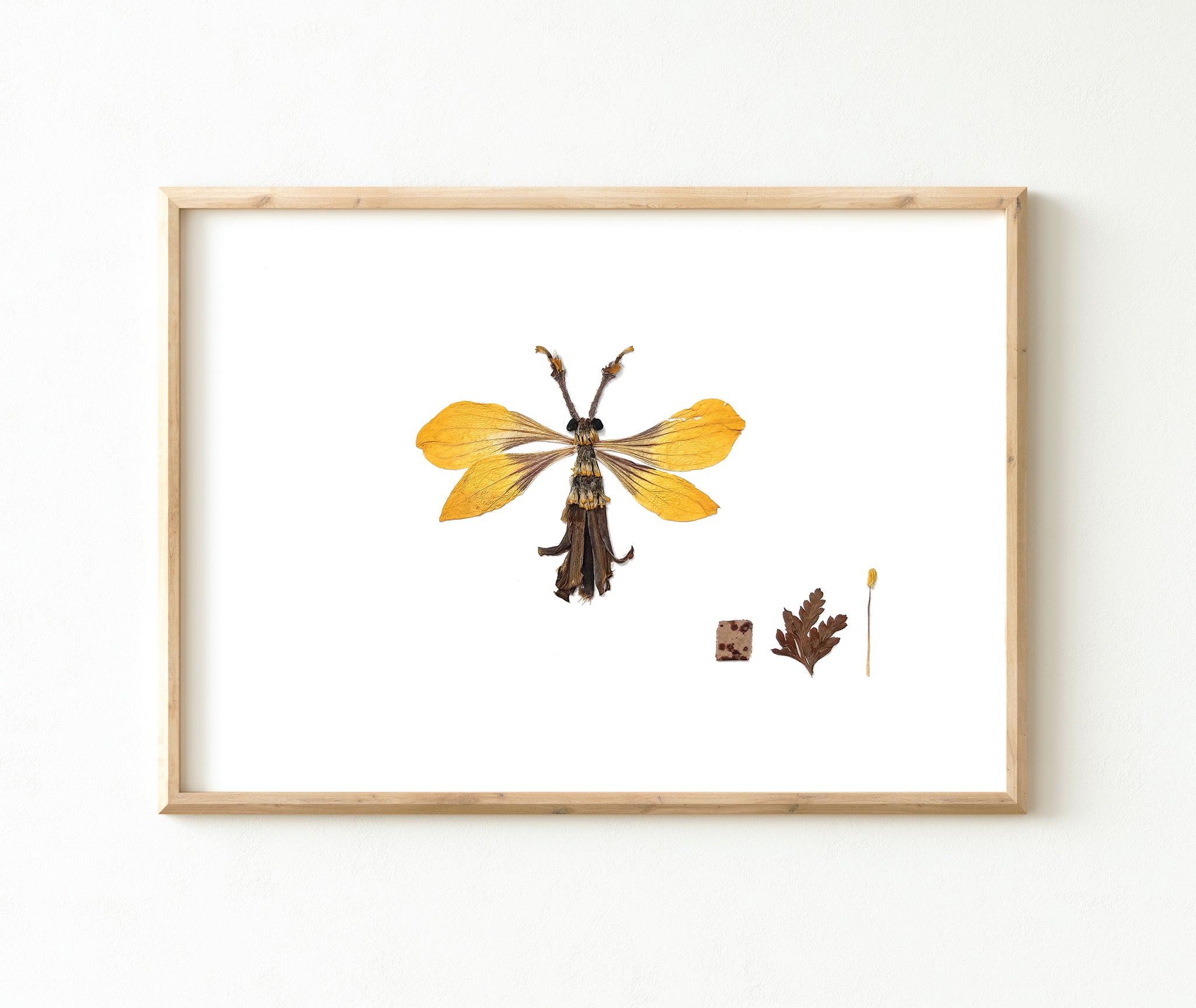 'CLIFFORD' - Art Print