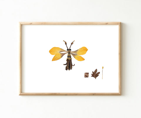 'CLIFFORD' - Art Print