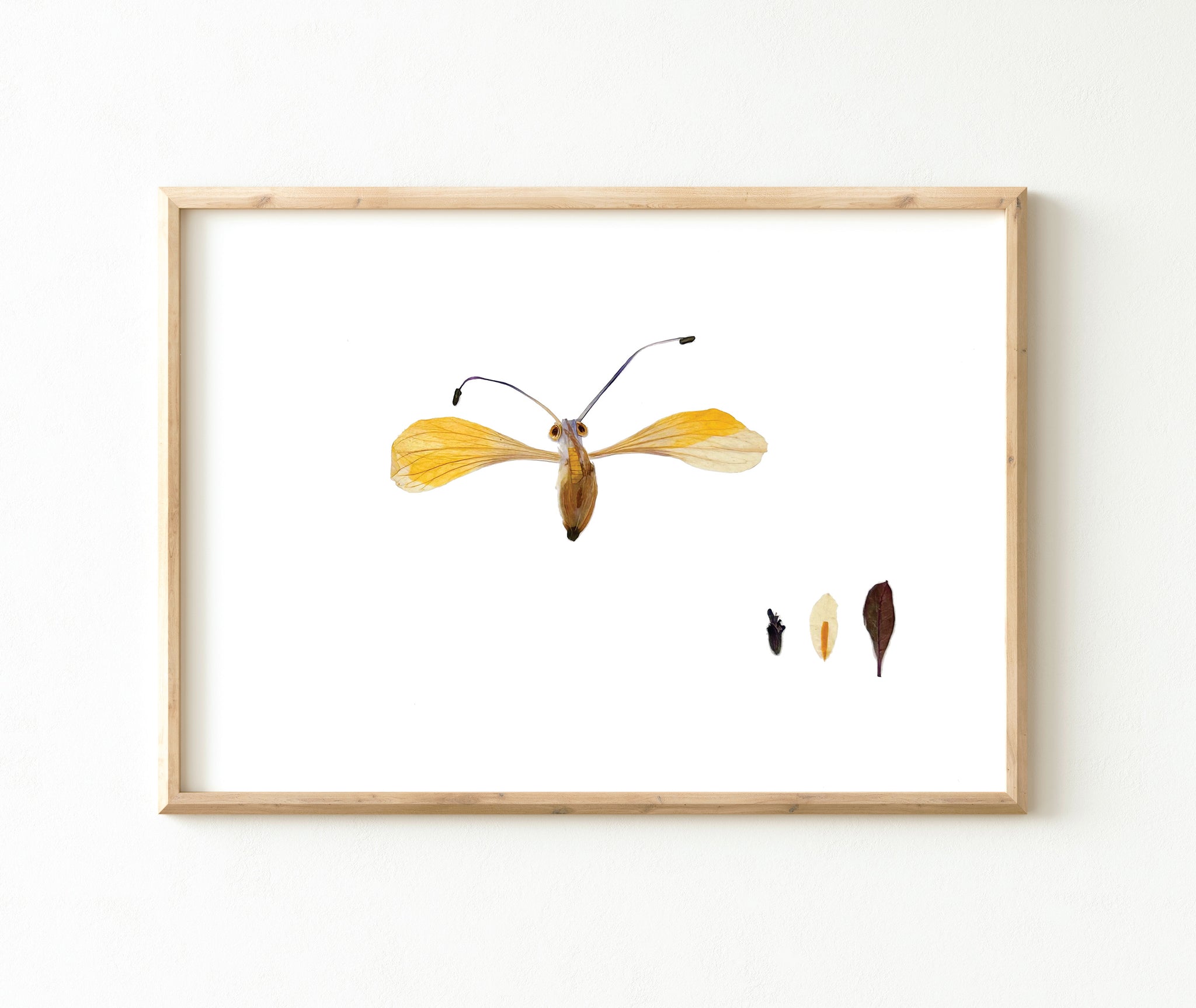 'GILBERT' - Art Print