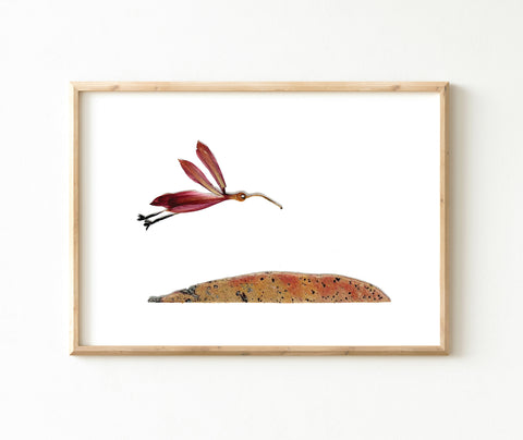 'HERBERT' - Art Print