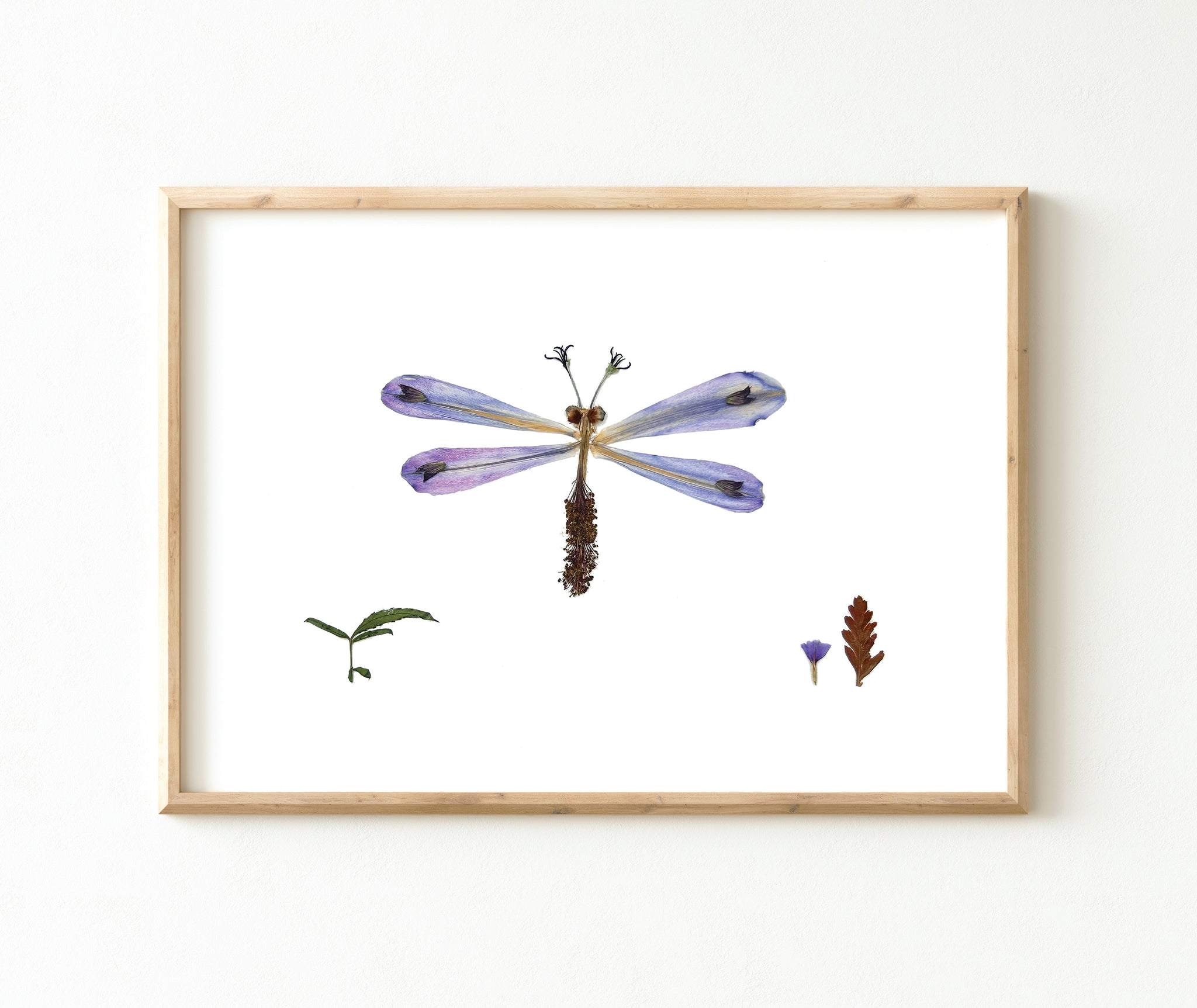 'LLOYD' - Art Print