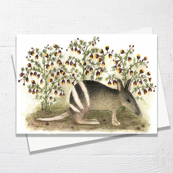 BANDICOOT AND BORONIAS - Greetings Card