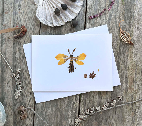 'CLIFFORD' - Greetings Card