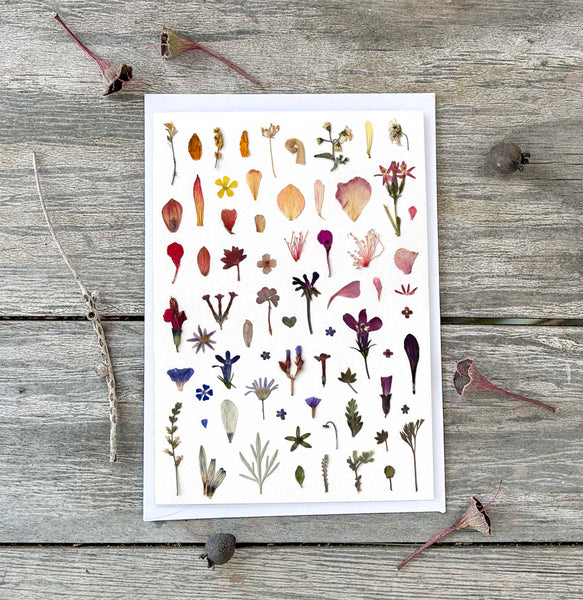 'LITTLE PETALS AND LEAVES' - Greetings Card