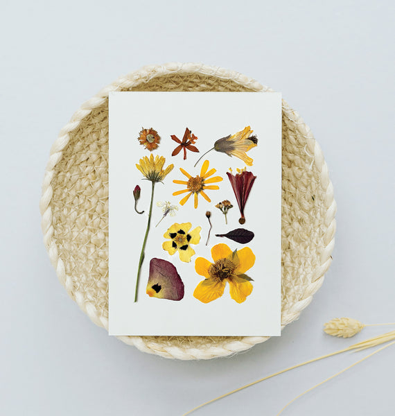 'SUNNY DAYS' BOTANICAL COLLATION - Art Print