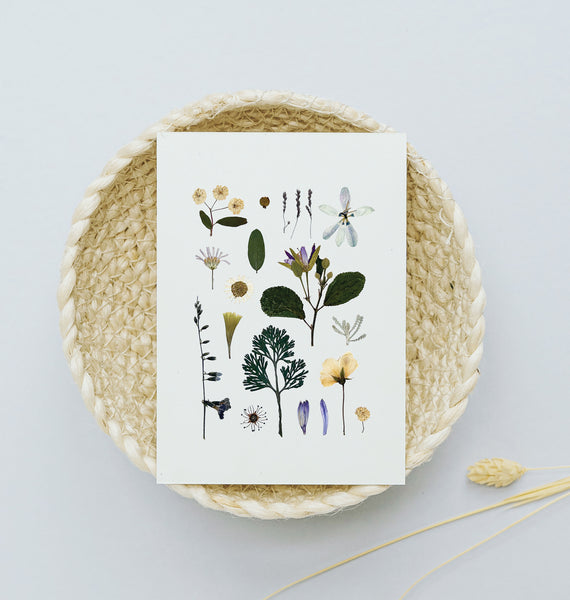 'WOODLAND PATH' BOTANICAL COLLATION - Art Print