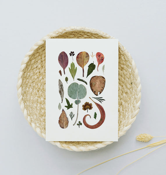 'LOTS OF LEAVES' BOTANICAL COLLATION - Art Print