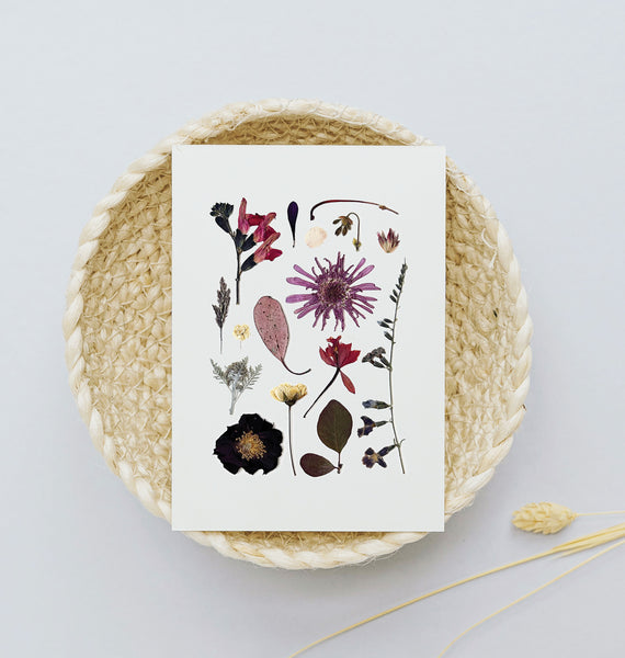 'WINTER MYSTIQUE' BOTANICAL COLLATION - Art Print