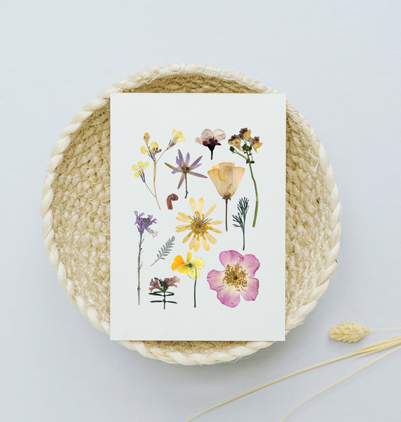 'BAREFOOT MEADOW' BOTANICAL COLLATION - Art Print