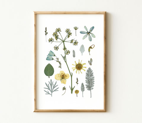 'GARDEN IN STARLIGHT' BOTANICAL COLLATION - Art Print