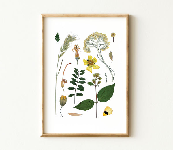'LAZY DAYS' BOTANICAL COLLATION - Art Print