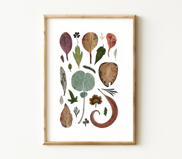 'LOTS OF LEAVES' BOTANICAL COLLATION - Art Print