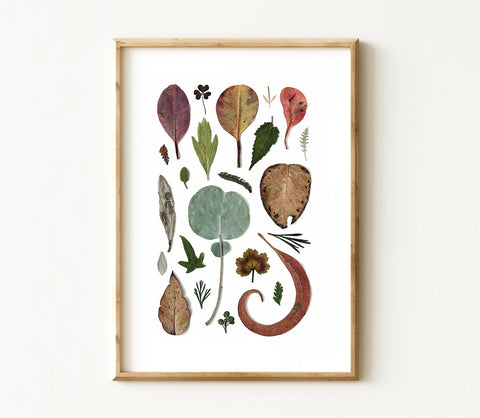 'LOTS OF LEAVES' BOTANICAL COLLATION - Art Print