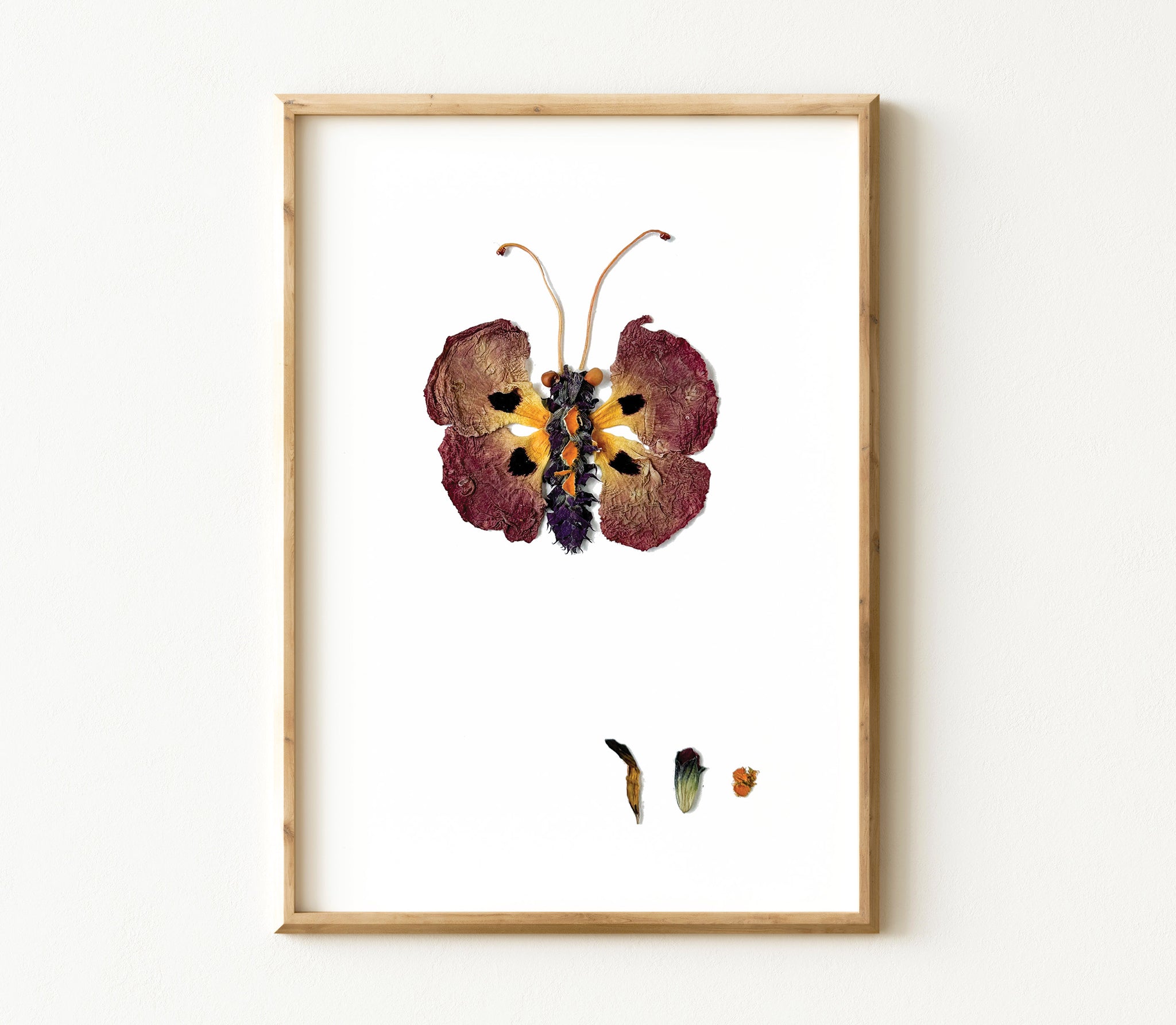 'PERCIVAL' - Art Print