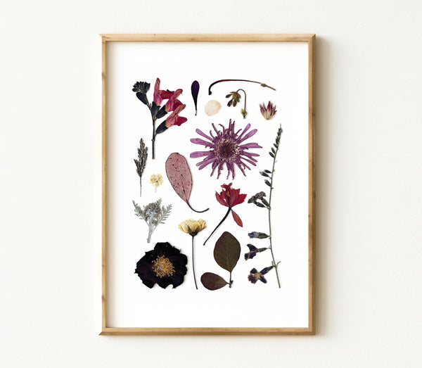 'WINTER MYSTIQUE' BOTANICAL COLLATION - Art Print