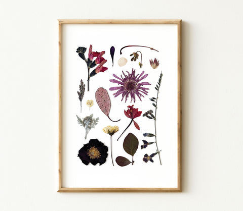 'WINTER MYSTIQUE' BOTANICAL COLLATION - Art Print