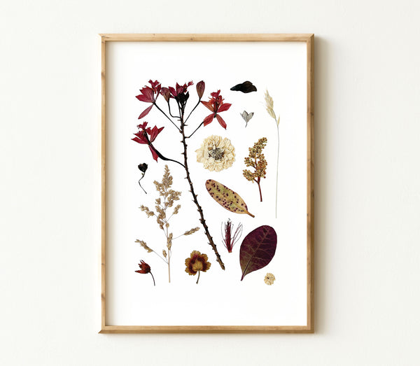 'EVENING BREEZE' BOTANICAL COLLATION - Art Print
