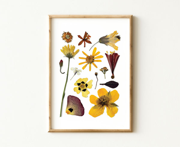 'SUNNY DAYS' BOTANICAL COLLATION - Art Print