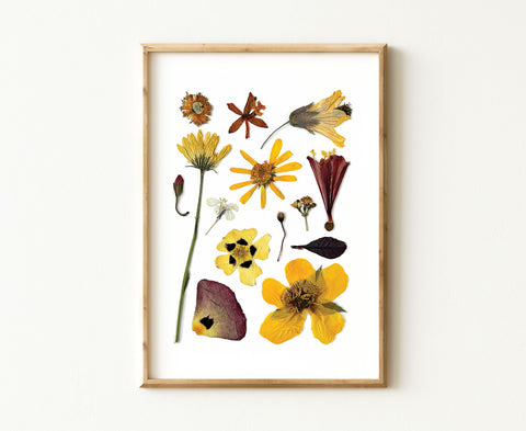 'SUNNY DAYS' BOTANICAL COLLATION - Art Print