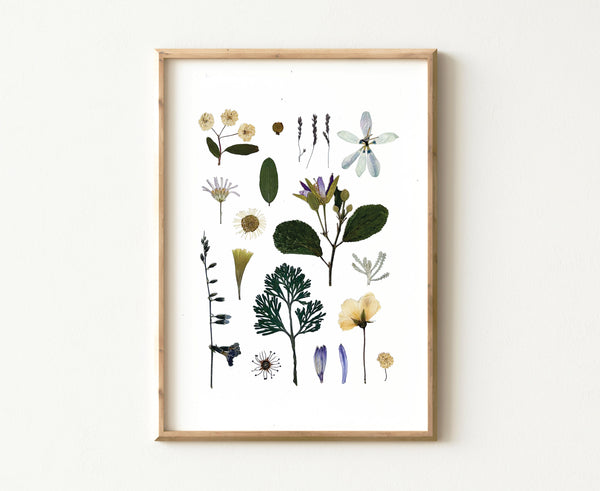 'WOODLAND PATH' BOTANICAL COLLATION - Art Print