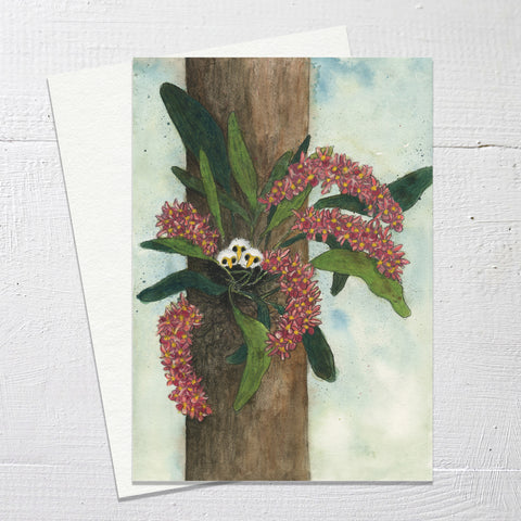 BABY BIRDS IN THE ORCHID - Greetings Card