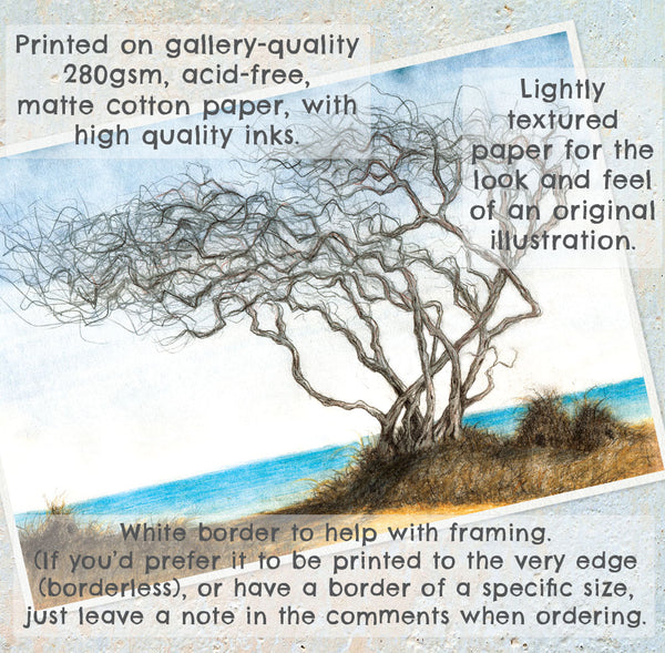 LITTLE HUMMOCK HOMES - Art Print