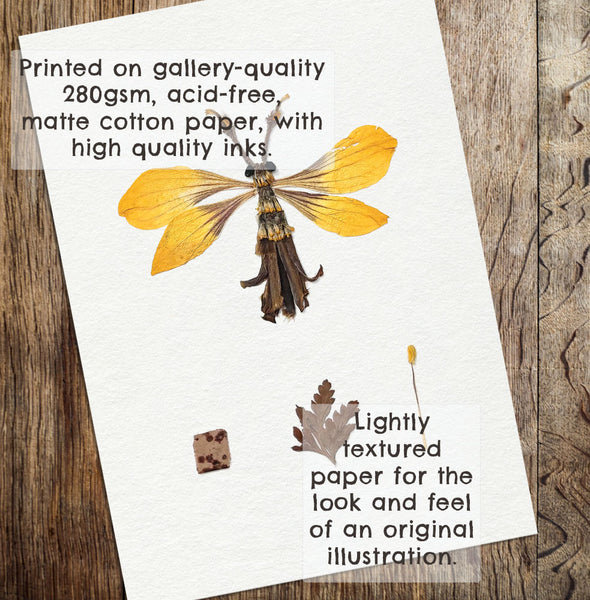 'CLIFFORD' - Art Print