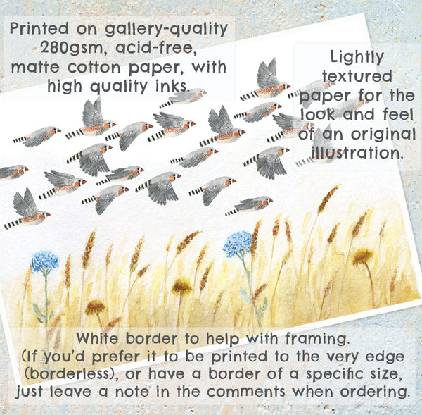 A FLOCK OF ZEBRA FINCHES - Art Print