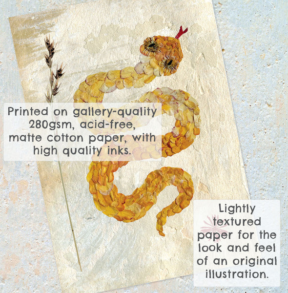 'ESTELLE' - Art Print