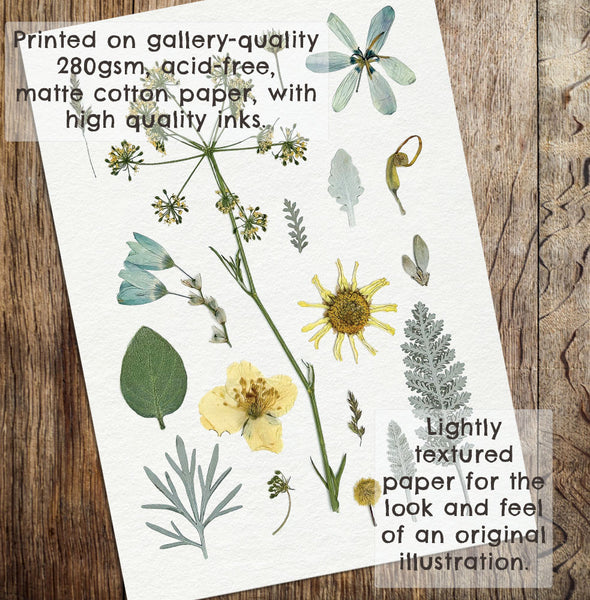 'GARDEN IN STARLIGHT' BOTANICAL COLLATION - Art Print