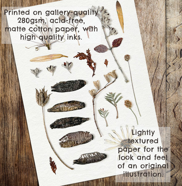 'WINTER CALM' BOTANICAL COLLATION - Art Print