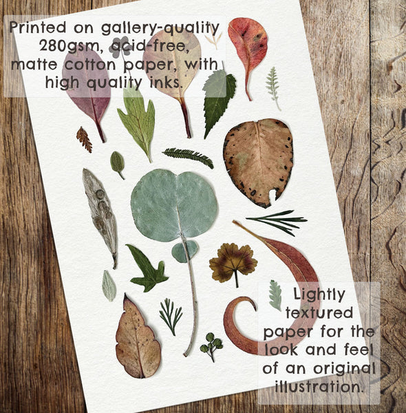 'LOTS OF LEAVES' BOTANICAL COLLATION - Art Print