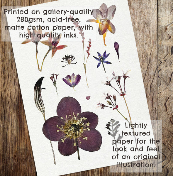 'WINTER TONIC' - Art Print