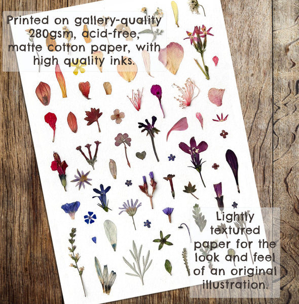 'LITTLE PETALS AND LEAVES' - Art Print