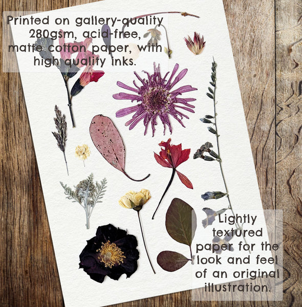 'WINTER MYSTIQUE' BOTANICAL COLLATION - Art Print