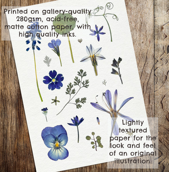 'DRIFT AWAY' - Art Print