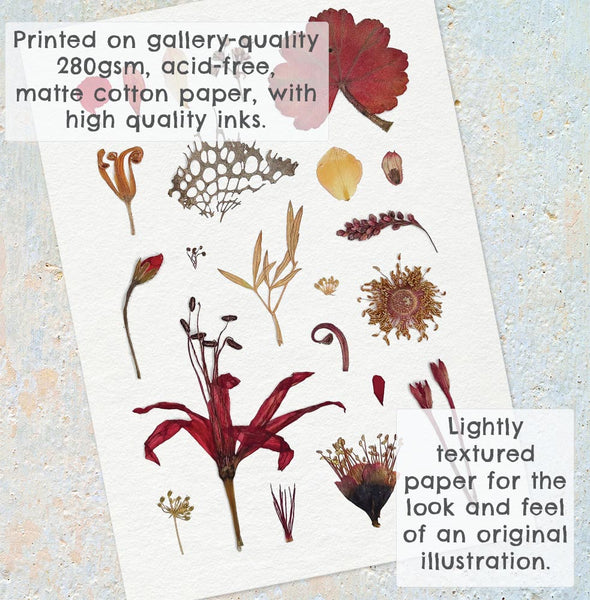 'SUMMER EVENING' BOTANICAL COLLATION - Art Print