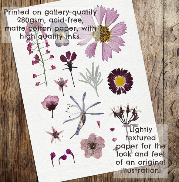 'DAYDREAMER' - Art Print