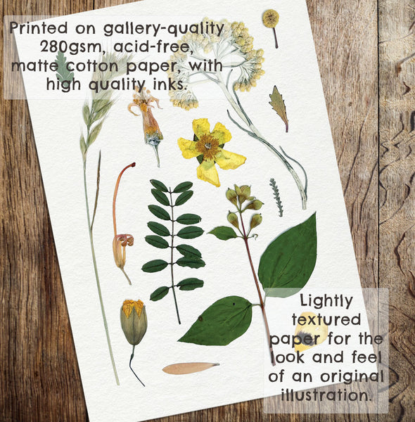 'LAZY DAYS' BOTANICAL COLLATION - Art Print