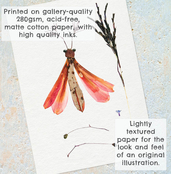 'ESME' - Art Print