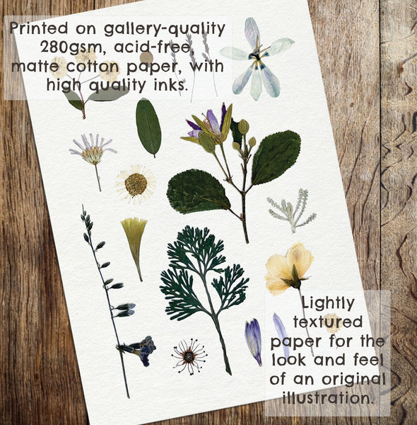 'WOODLAND PATH' BOTANICAL COLLATION - Art Print