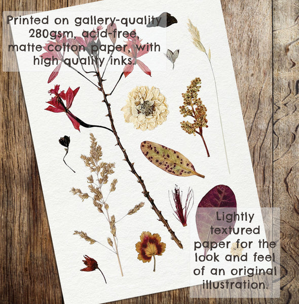 'EVENING BREEZE' BOTANICAL COLLATION - Art Print